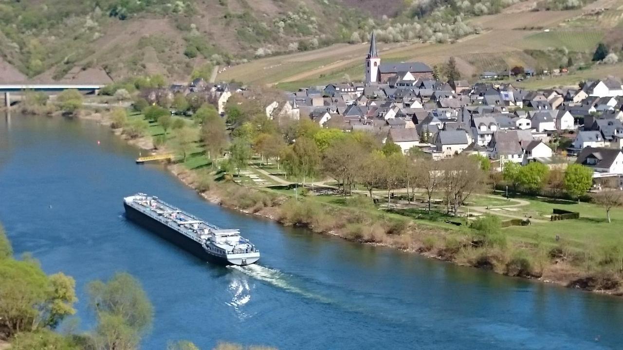 Ferienwohnungen Am Bruttiger Moselsteig 外观 照片