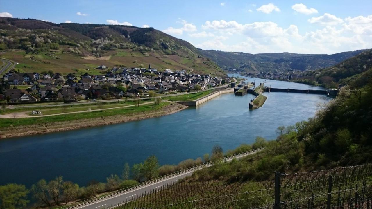 Ferienwohnungen Am Bruttiger Moselsteig 外观 照片