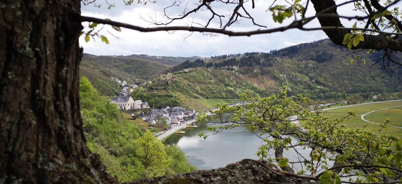 Ferienwohnungen Am Bruttiger Moselsteig 外观 照片