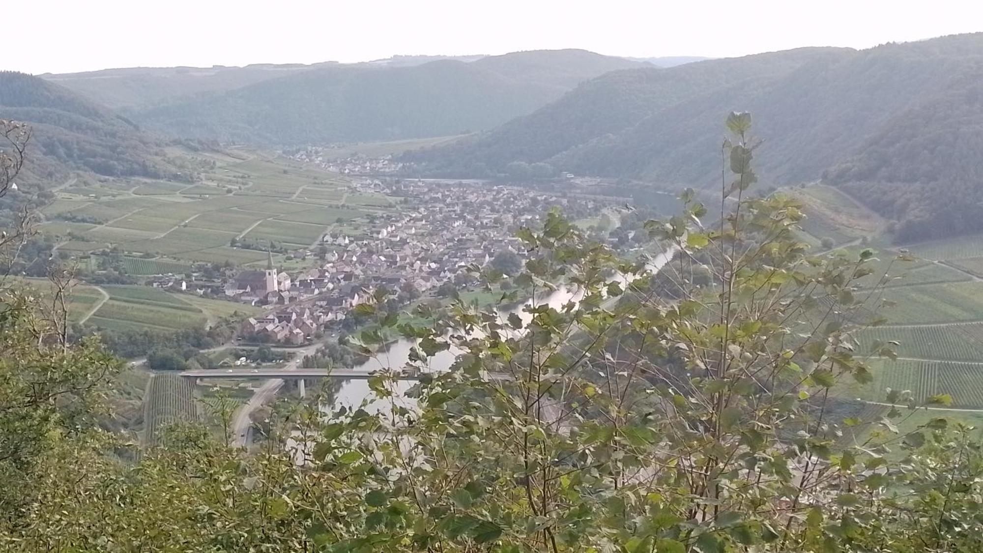 Ferienwohnungen Am Bruttiger Moselsteig 外观 照片
