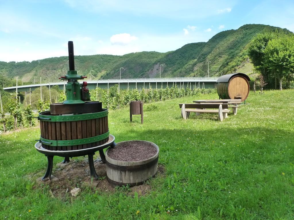 Ferienwohnungen Am Bruttiger Moselsteig 客房 照片