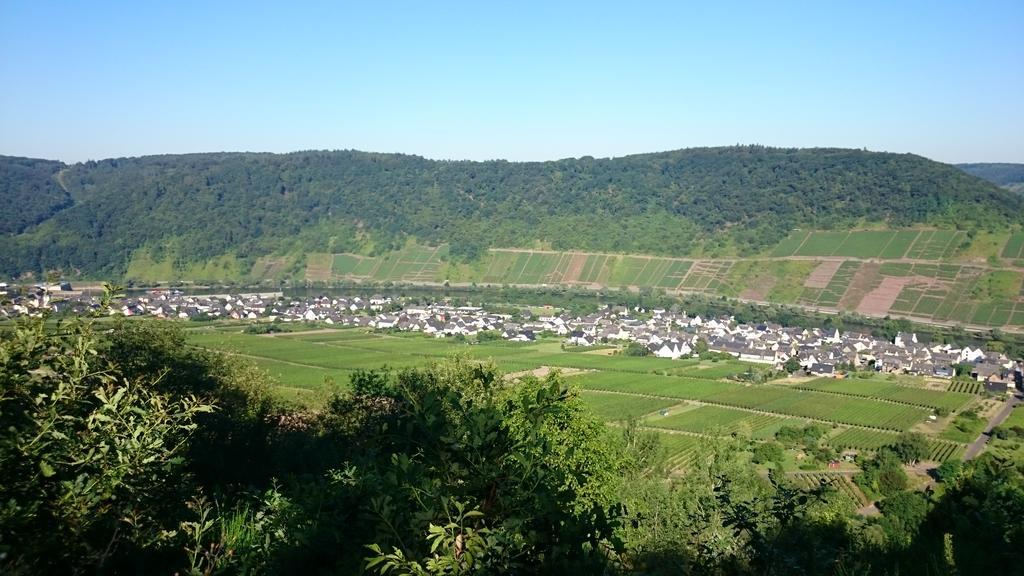 Ferienwohnungen Am Bruttiger Moselsteig 外观 照片