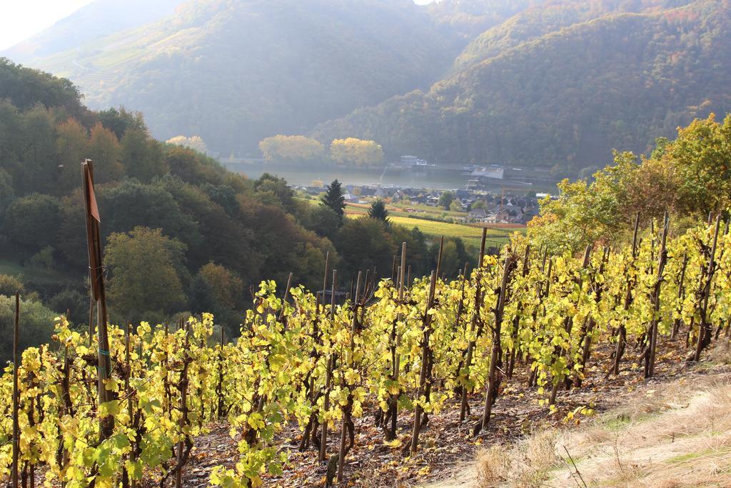 Ferienwohnungen Am Bruttiger Moselsteig 外观 照片