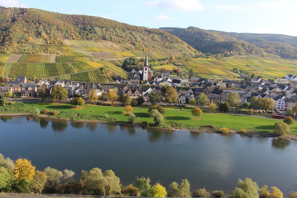 Ferienwohnungen Am Bruttiger Moselsteig 外观 照片