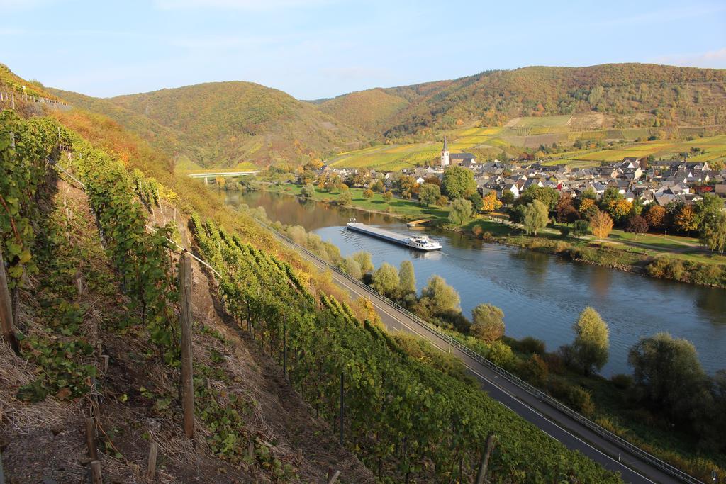 Ferienwohnungen Am Bruttiger Moselsteig 外观 照片