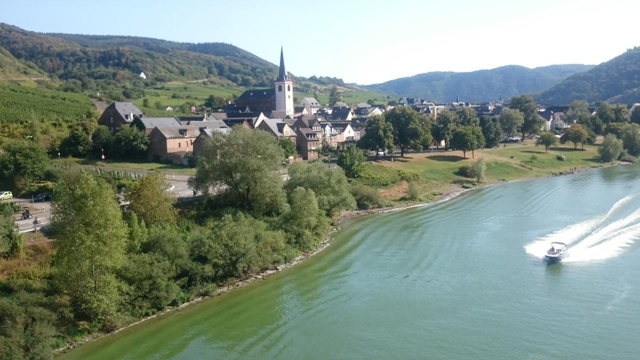 Ferienwohnungen Am Bruttiger Moselsteig 外观 照片