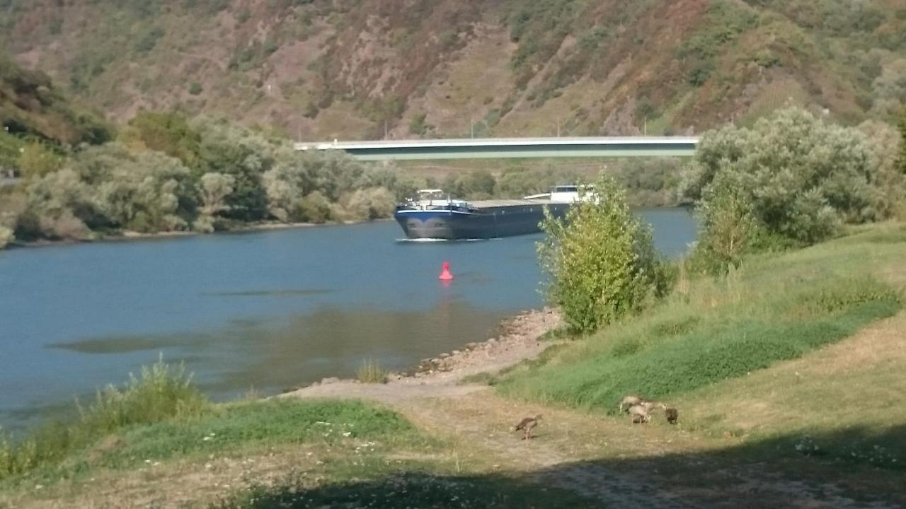 Ferienwohnungen Am Bruttiger Moselsteig 外观 照片