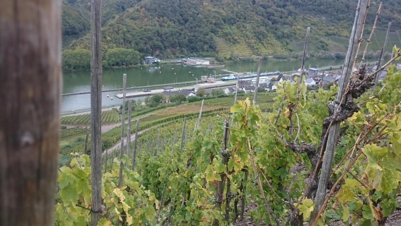 Ferienwohnungen Am Bruttiger Moselsteig 外观 照片